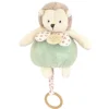 Doudou et Compagnie Boite a musique bebe - Hérisson vert - 20 cm> Boîte À Musique