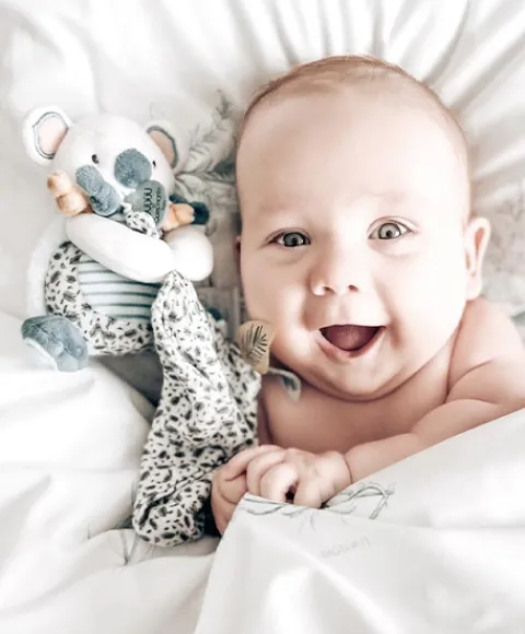 Doudou et Compagnie Coffret peluche Koala Yoca avec Doudou - 15 cm> Doudou Mouchoir|Peluche Avec Doudou