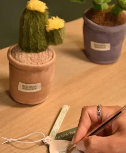 Doudou et Compagnie Peluche fleur - 9 cm - Botanique - Cactus Vert> Peluche Adulte|Peluches