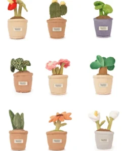 Doudou et Compagnie Peluche fleur - 9 cm - Botanique - Cactus Vert><noscript><img width=