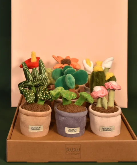 Doudou et Compagnie Peluche fleur - 9 cm - Botanique - Cactus Vert> Peluche Adulte|Peluches