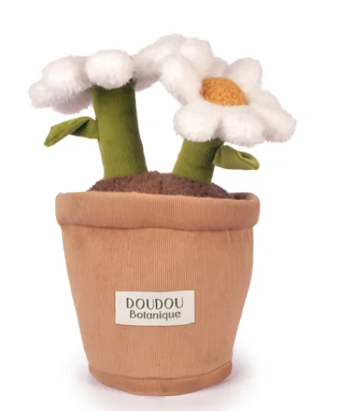 Doudou et Compagnie Peluche fleur - Marguerite - 25 cm> Peluche Adulte|Peluches